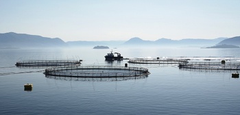 Aquaculture