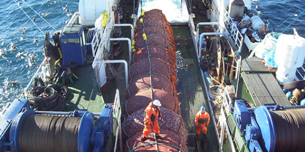 Bottom Trawls