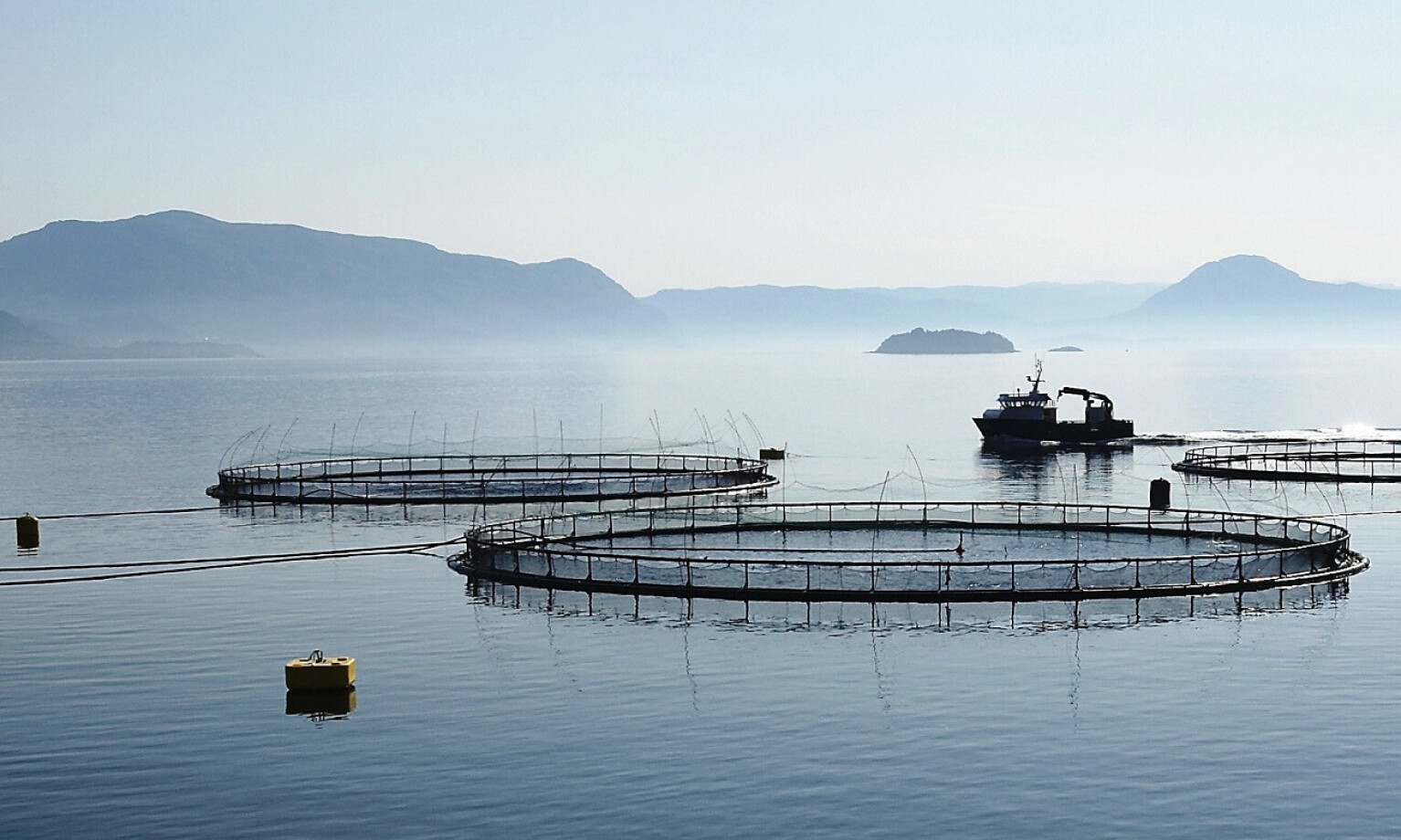 Aquaculture | cotesi marine