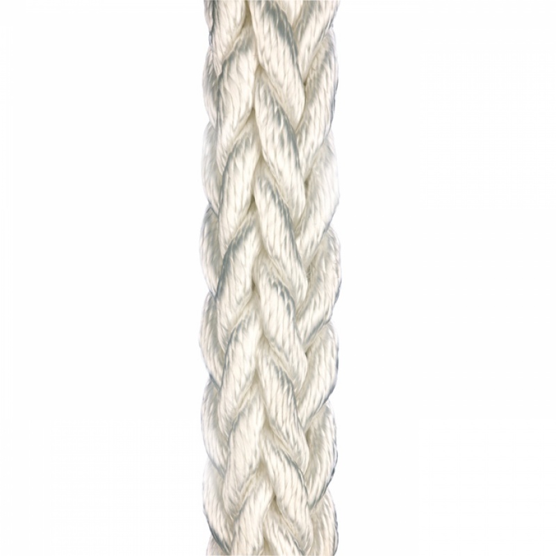 Polyamide 12 strands Polyamide 12 strands
